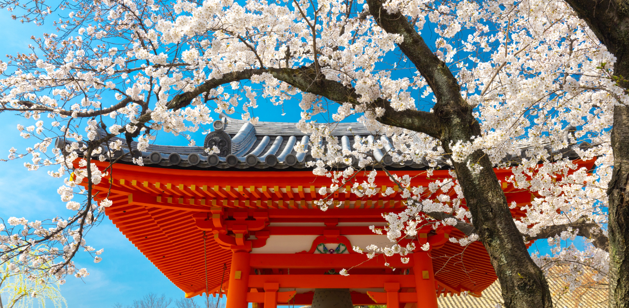 Scriptures & Sacred Texts