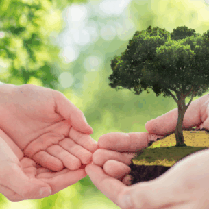 Tenrikyo Core Doctrines & Concepts