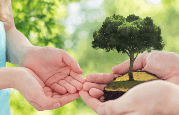 Tenrikyo Core Doctrines & Concepts