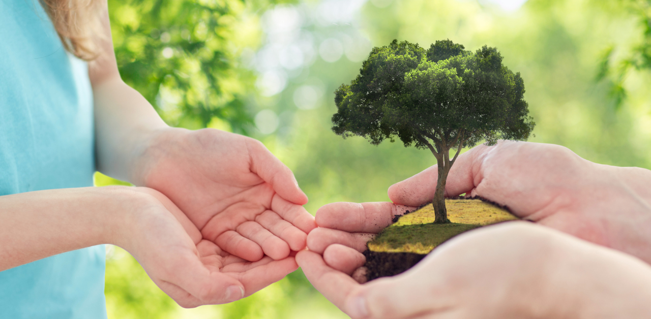 Tenrikyo Core Doctrines & Concepts