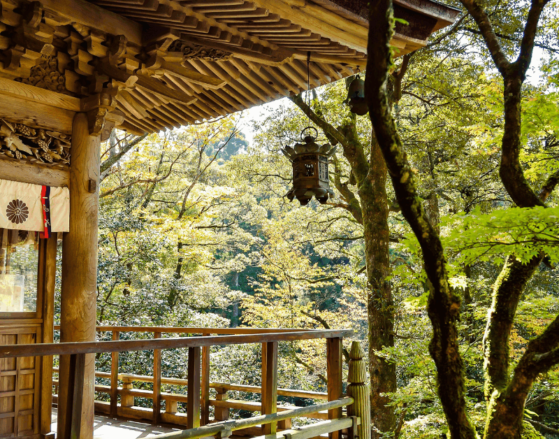 Wooden Japanese shrine with ornate carvings and forest view during daylight